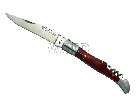 LAGUIOLE DUB039_1