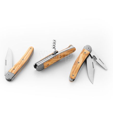 Lionsteel-JK1UL-4