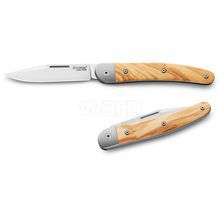 Lionsteel-JK1UL-1